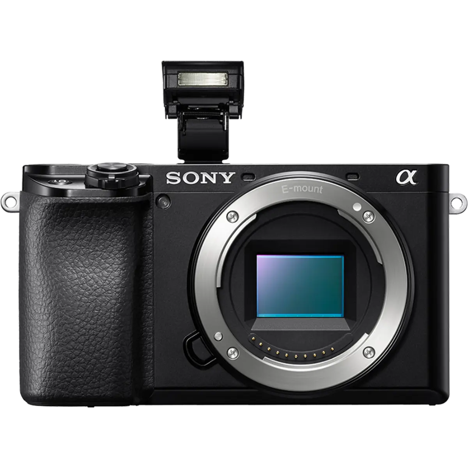 Sony Alpha 6100 - Image 4