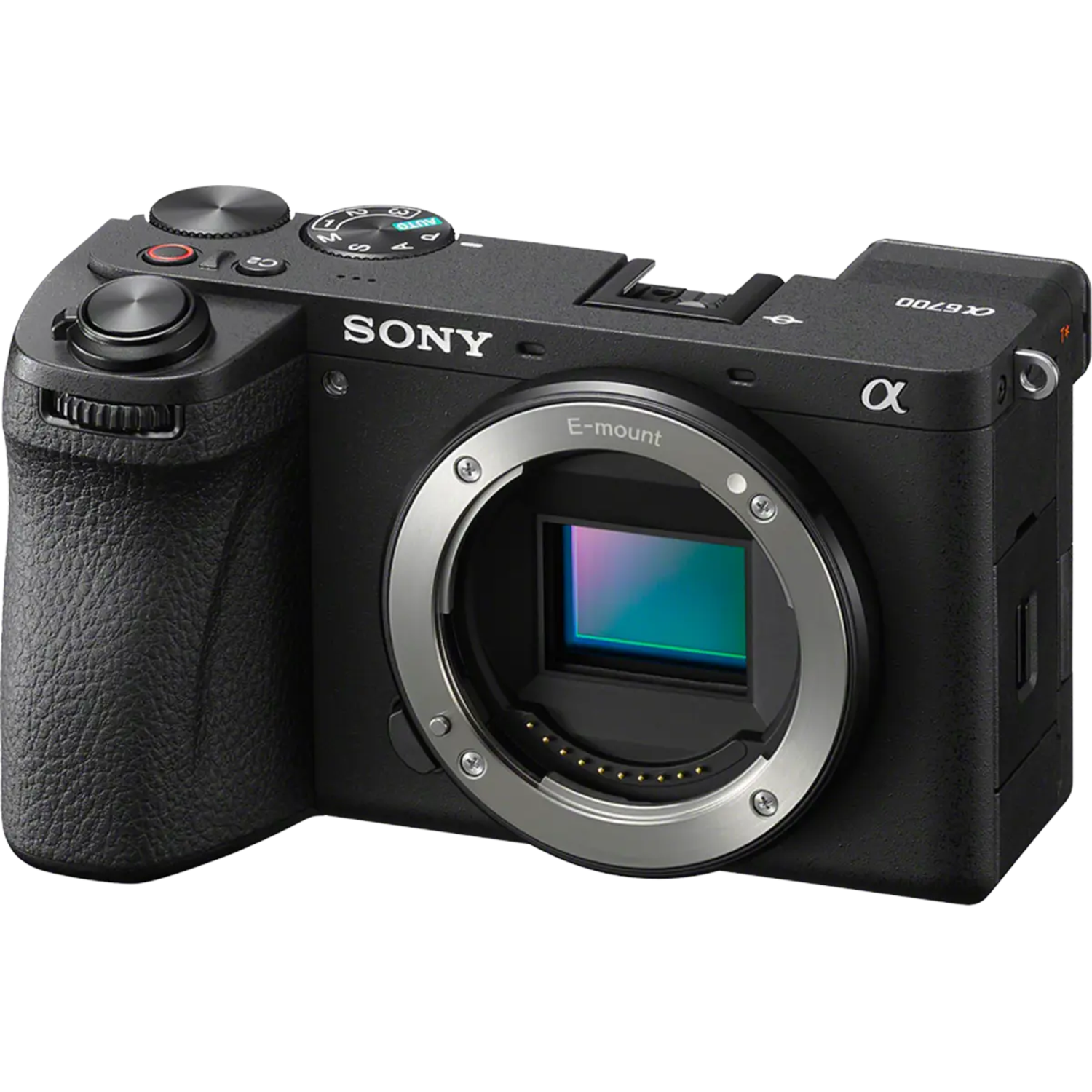 Sony Alpha 6700 - Image 7